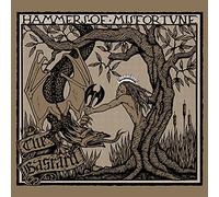 Hammers of Misfortune - The Bastard (Gtf.Gold+Black Splatter Vinyl 2-Lp)