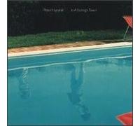 Hammill,Peter - in a Foreign Town [Import]