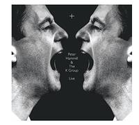 Peter Hammill & The K Group – Plus (+) – Vinyle 12" – Import UK – Madfish