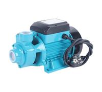 HamPaesk Pompe à Eau 370 W, Moteur 220 V CA, Haute efficacité, Pression de Travail maximale 10 Bars, for Jardin et Ferme, for l'extraction de l'eau