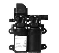 HamPaesk Pompe à Eau électrique Double à diaphragme, 12 V CC, 100 W, 160 psi, 7,5 l/Min, Interrupteur de débit Automatique, pulvérisateur Haute Pression for Agriculture