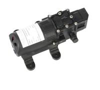 HamPaesk Pompe électrique de Lavage de Voiture 12 V 220 V 5,5 L/Min, Micro-pulvérisateur d'eau à Membrane Haute Pression DP-537, Durable, 130 PSI