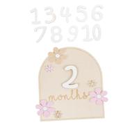 HAMPPLIES 1 Ensemble Plaque commémorative en bois jalon des mois de bébé petit garçon première nursery âge cartes jalons de dessin animé mois bébé jalon signe de bois bébé Coloré