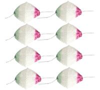 HAMPPLIES 12 pièces Double Head Kerosene Lantern Mantles with Rayon Mesh Easy Replace Wick Covers for Outdoor Gas Lamps Suitable for Camping Hiking and Fishing