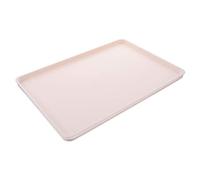 HAMPPLIES 1pièce Plateau Rectangulaire Plastique pour Hôtel Plateau De Service Léger Et Antidérapant Capacité pour Chambres Hôtel