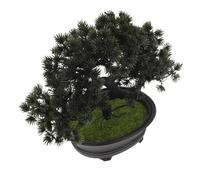 HAMPPLIES Bonsaï Artificiel Décoratif Réaliste Pin Plante sans Entretien pour Décoration Intérieure Asiatique Ornement Élégant pour Bureau et Maison