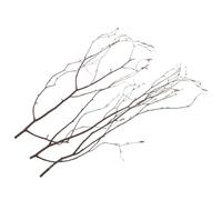 HAMPPLIES Branches de Bouleau Décoratives, 20 Pcs en Bois, Brindilles Séchées Naturelles pour Vases, Bouquets et Compositions au Style Campagne