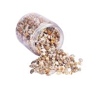 HAMPPLIES Coquillages Naturels Décoration Aquarium Boîte de Petit Conch Couleur Citron pour Décorations Artisanales et Projets Art pour Offrir comme