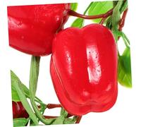 HAMPPLIES Décoration Piment Artificiel Rouge Simulé Haute Résistance Décor Cuisine Maison Accessoire