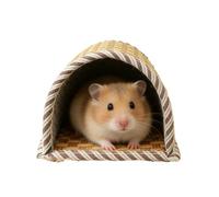 Hamster Bed, Small Animal House, Woven Hamster Hideoutt Tunnel