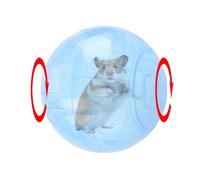 Hamster Exercise Wheel - Running Wheel for Small Animals, Enclosed Design for Safety | Portable Hamster Ball Alternative for Golden Bear, Dwarf Hamsters & Gerbils, Easy to Clean