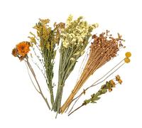 Hamster Foin Flowdding Parure de lit florale naturelle pour petits animaux | Décoration colorée de la cage à fleurs séchées pour hamsters, lapins d'Inde, Lemmings | Liner d'habitat