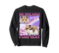 Hamster Funny Meme Internet Culture Gen Z Sarcastique Sweatshirt