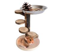 Hamster Ramp, Wood Hamster Cage Ladder, Adorable Pet Exercise Habitat, Climbing Toy on Chinchillas, Squirrels, Gerbils, Interactive Playground Enrichment for Small Pets