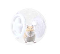 Hamster Running Ball, Hamster Ball, Clear Ball Hamster Running Wheel Toy, Activité intérieure Ventilation Conception de trous de fitness Daily Fitness pour les petites animaux de compagnie de taille m