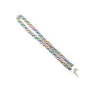 Hamster Suspendu Corde d'escalade Petit Animal de compagnie Élan Mâcher Échelle résistante Perroquets Exercice d'exercice Petits Cadeaux Animaux Équipement d'exercice pour animaux de compagnie