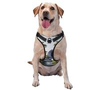 Hamster's Home Harnais de qualité supérieure pour chiens de petite, moyenne et grande taille - Durable, ne tire pas avec sangles réfléchissantes et boucles à dégagement rapide XL