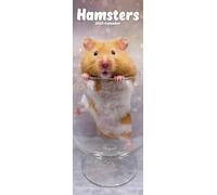 Hamsters Slim Calendar 2025 Cute Slimline Calendar - 12 Month