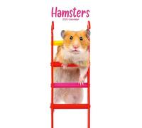 Hamsters Slim Calendar 2026 Cute Slimline Calendar - 12 Month