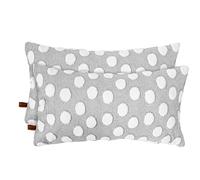 HAMUR HOME Lot de 2 Housse De Coussin en Velours Côtelé Décoratif Taie d'oreiller Canapé Voiture Maison Salon Chambre Lit Clic Décor Housses de Coussin (Point)