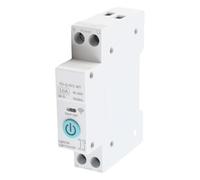 Hamwesh Disjoncteur Intelligent, Télécommande sans Fil, Compte à Rebours, Commutateur Intelligent, Commutateur avec Installation sur Rail DIN35 pour Contrôle Domestique 230 V (10A)