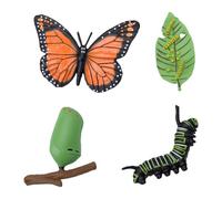 Hamwesh Ensemble de 4 Pièces de Cycle de Vie de Papillon | Figurines en Plastique Réalistes D'œuf, de Chenille, de Chrysalide et D'adulte, Fabrication Détaillée Idéale pour les Cours