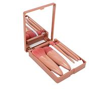 Hamwesh Ensemble de Pinceaux de Maquillage, 5pcs Brussages de Maquillage d'huile étanche à l'huile avec Boîte de Rangement pour le Fond de Teint à Fards à Paupières Blush