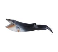 Hamwesh Figurine de Baleine Bleue, Figurine de Vie Marine Authentique avec Design Réaliste pour Décoration Intérieure pour Enfants