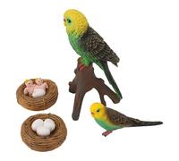 Hamwesh Figurines de Perroquets Artificiels, 4 Pièces, Figurine Réaliste de Cycle de Croissance de Perroquet, Jeu éducatif, Modèle d'animaux d'oiseaux Simulés avec des Caractéristiques Réalistes
