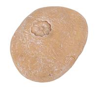 Hamwesh Pierre Commémorative pour Animaux de Compagnie, Dons de Commémoratifs pour Animaux de Compagnie Peints en Résine avec une Forme Spéciale pour les Décorations de Cimetière de Perte de par de