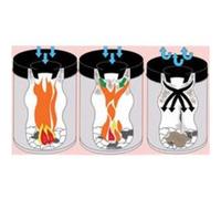 HAN Classeur-revues SORTER, plastique, blanc Blanc G