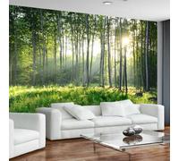 HAN MAN XIU Fresque autocollante en PVC papier peint 3D forêt soleil nature paysage intérieur art mural autocollant chambre salon peinture murale