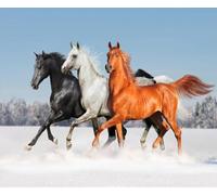 HAN MAN XIU Papier peint mural 3D représentant un troupeau de chevaux sous la neige idéal pour décorer un salon ou une chambre