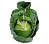 HAN MAN XIU Sweat à Capuche Vert imprimé 3D avec Motif légumes pour garçons et Filles, Sweat-Shirt d'automne-Hiver pour Le Sport et Les Loisirs