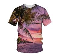 HAN MAN XIU T-Shirt imprimé en 3D avec Motif de cocotiers au Coucher du Soleil pour Hommes et Femmes, à col Rond et Manches Cour