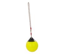 HANABASS 1 Pièce balançoire pour Arbre balançoire extérieur siège de balançoire d'arbre balançoire pour Enfants Jeux extérieurs Enfants balançoires Boule de Fond Gonflable