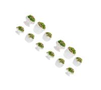 HANABASS 12 Pièces Miniature Flower Bonsai Pots for Dollhouse Decoration Compact Plant Models for DIY Craft Micro Landscape Accessories