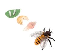 HANABASS 1Ensemble Éducatif de Cycle de Vie des Réaliste Insectes pour Didactique pour Apprentissage à Maison