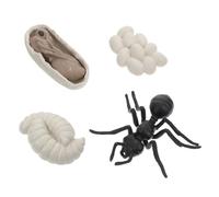HANABASS 1Ensemble Fourmis Ouvrières Set Éducatif pour Cycle de Vie Réaliste et Apprentissage Cognitif pour Décoration et Éducation