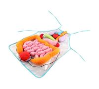 HANABASS 1Ensemble Tablier Éducatif Transparent pour Garçon Fille Aide Pédagogique de Reconnaissance des Organes Humains Matériel Enseignement pour Maison de Développement Précoce