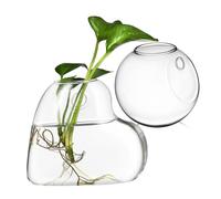 HANABASS 2pièces Jardinières Murales Verre Transparent Supports pour Plantes De Terrarium Pots De Fleurs Muraux Jardinières Suspendues Aquariums Muraux