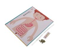 HANABASS 4 Ensembles Digestive System Model Kit for DIY Science Experiment Toy for Learning and Skill Development and Parent-Child Interaction