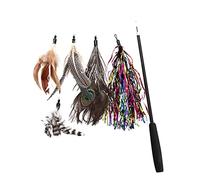 HANABASS 6 pièces Baguette à Jouer pour Chat avec Têtes Plumes Colorées Stimule Interaction et Activité de Votre Parfait pour Renforcer Liens Entre Votre Animal