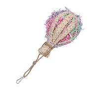 HANABASS Balle à Mâcher de pour Perruches Créatif pour Oiseaux Stimule Esprit Accessoire Durable pour Divertissement Sain à
