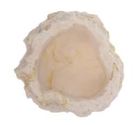 HANABASS Bassin Imitation Roche Bol d'alimentation Caméléon Plat d'eau De Terrarium Bol d'eau D'écureuil Plat De vers De Farine Plat d'eau pour vers De Farine Plat d'eau De Serpent Résine