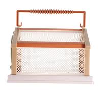 HANABASS Cage d'Observation d'Insectes pour Garçon et Filles Filet en Plastique Conception Respirante Boîte de Collecte Portable pour Exploration en Plein Air Jouet Éducatif 1 Pièce