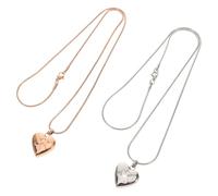HANABASS Collier Urne Funéraire pour Animaux - Lot de 2 Pendentifs Mini Urnes en Acier Inoxydable Forme Cœur et Empreinte de Patte Bijoux Commémoratifs pour Cendres de Chien et Chat