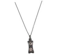 HANABASS Collier Urne pour Cendres De Chien Acier Inoxydable Pendentif Commémoratif Résistant pour Garder Les Souvenirs Près du Cœur