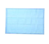 HANABASS Coussin d'Urine pour Chiots 45X60Cm Tapis Super Absorbant pour Dressage d'animaux de Compagnie Coussinets Jetables pour Chiens et Chiots pour Intérieur et Transport