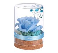HANABASS Fleur Éternelle sous Cloche en Verre Éclairage LED, Décoration Élégante en Verre pour Maison, Présent pour Noël, Saint-Valentin ou Anniversaire